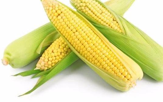 常吃玉米好处多,如何辨别转基因玉米?看这3