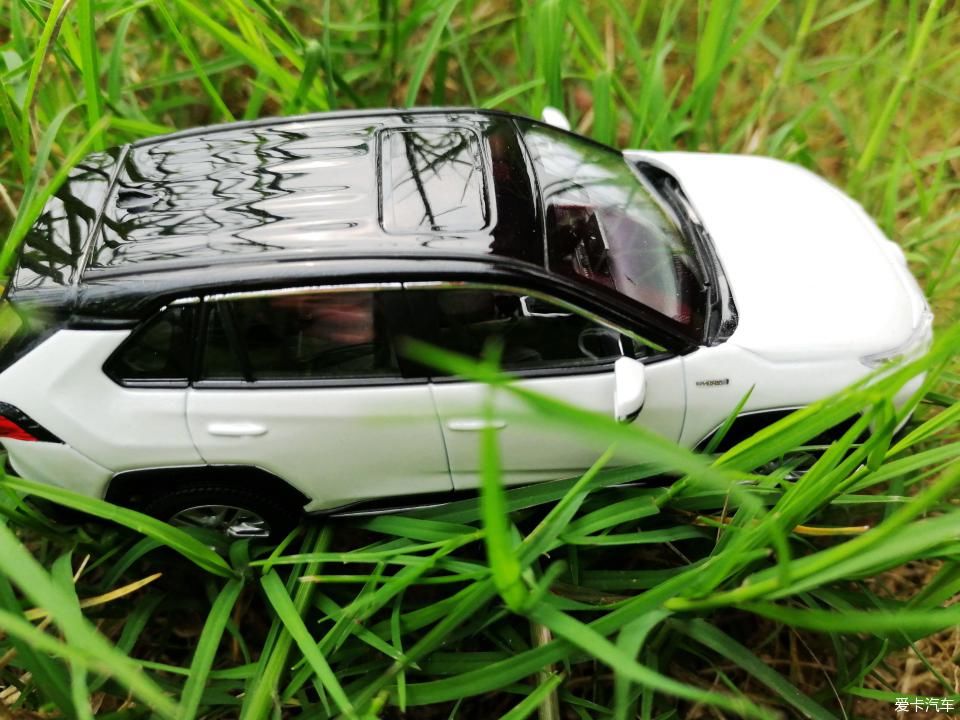 特别:十里春风,打卡滨江公园