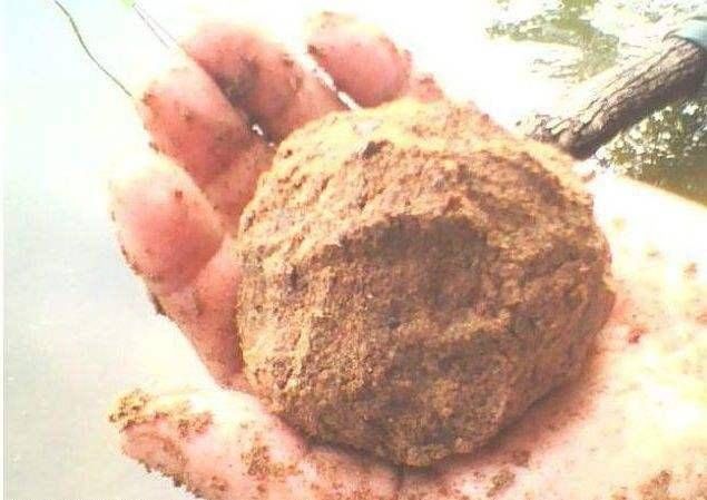 『情况』不打窝渔获好,打窝后反而没渔获,到底是什么情况