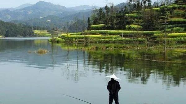  【水库钓鲤鱼】水库孤岛钓鲤鱼怎么样？