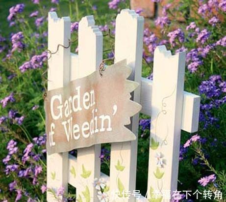  「快乐」篱笆小院住在乡村的快乐，你想体验吗！