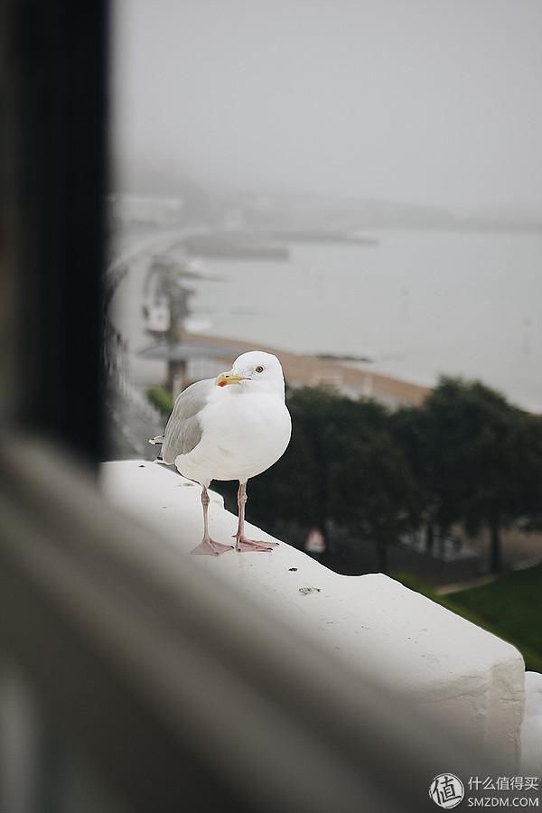 高逼格旅行美照怎么拍？秘笈在此，手慢无！