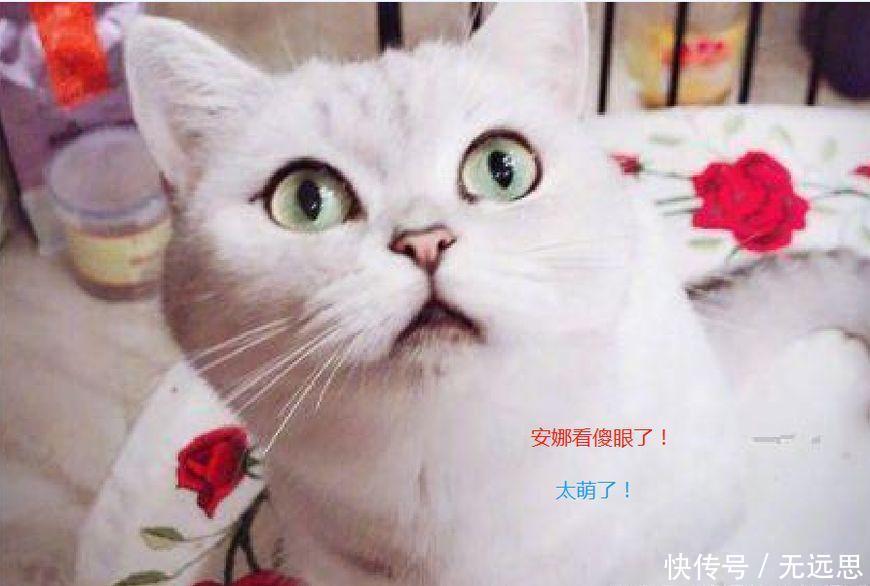 崔永元回来了! 冰冰、冯裤子亲密照流出, 网友: 安娜都看傻眼了!