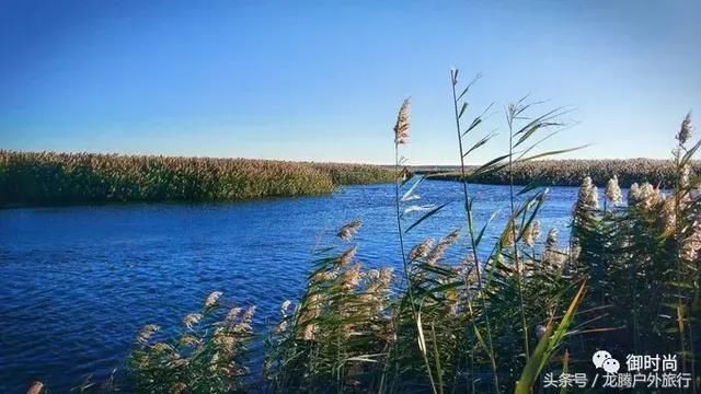 有一种美叫做额济纳的秋,有种等待叫做三千年的胡杨林