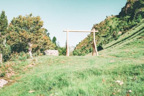 四川有一人间仙境,拥有五彩缤纷的花海,被誉为“最美高原花海”