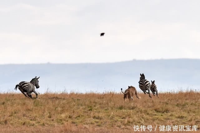 吸烟的3大谣言，你信了几个? 最后一个，只有傻子会相信！