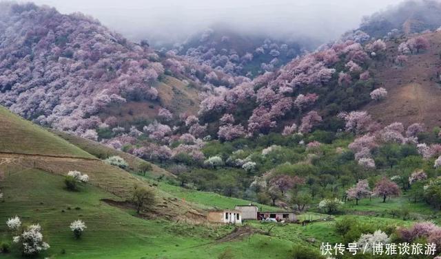  #静好#三月万物复苏，愿你我无恙，岁月静好