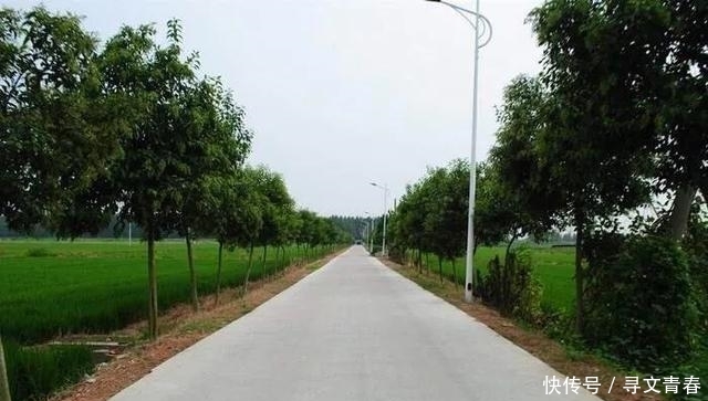  [生活]农村的住房是什么样的？