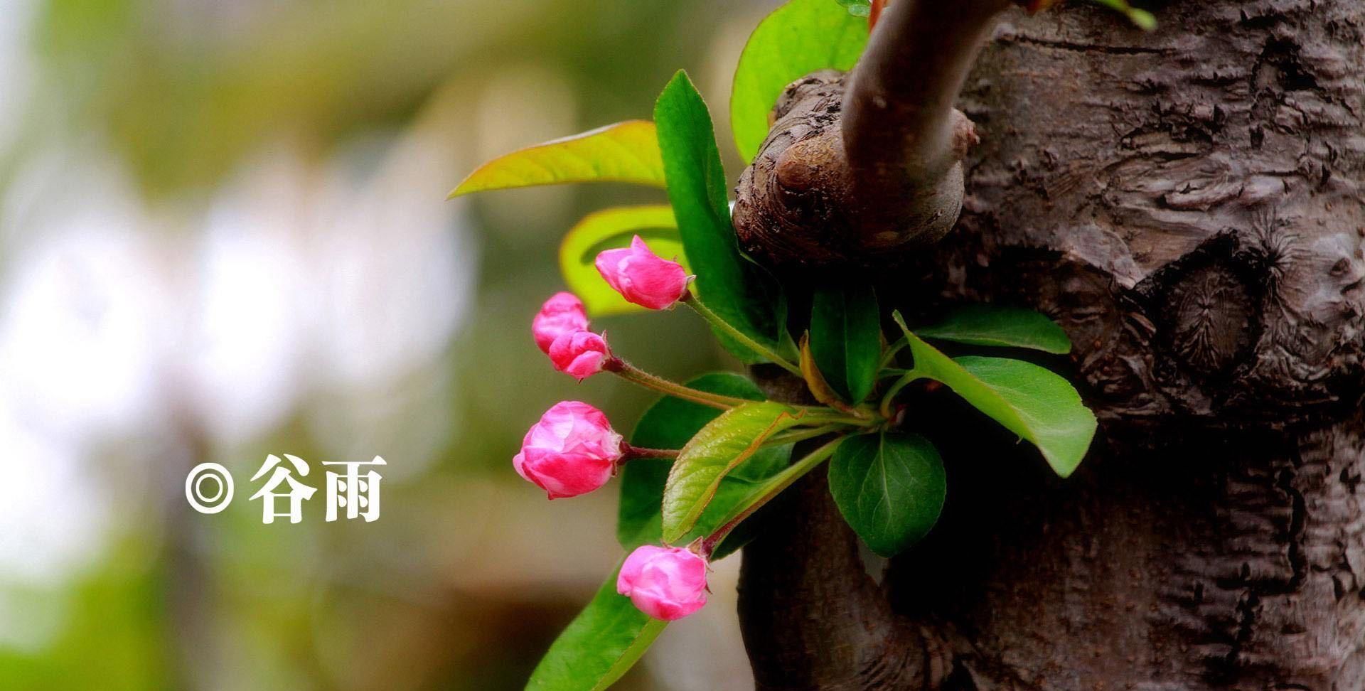  【最合适】谷雨节气吃这汤最合适，每天一碗，皮肤细腻，排体内湿气一身轻！