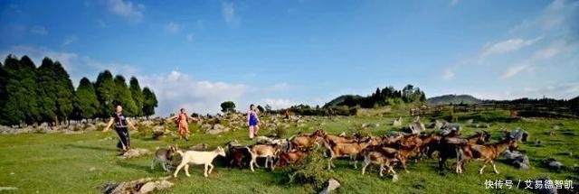 国务院点名! 沙坪坝、江北、涪陵、万州……这20个区都在榜!