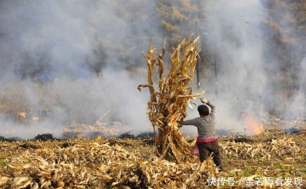  秸秆■2019年，农村这四件事可能会严查，跟每个家庭有关，早准