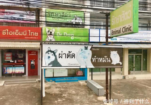 光鲜下的肮脏：芭提雅，这里充满了繁华和时尚，质朴又狂野