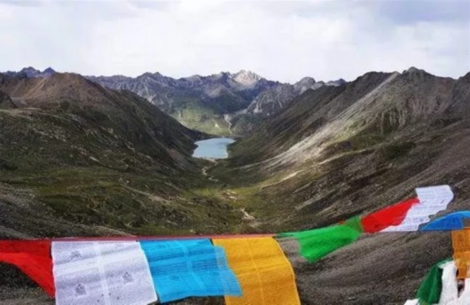 网民举报有人在西藏山南勒死藏羚羊 官方辟谣