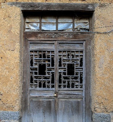  树木@农村老家的树木大家的门，渐渐消失了，难道还有回忆吗