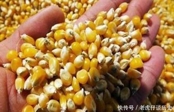 同是农民，同是种地，缘何美国农民个个富裕，差距在哪