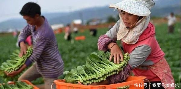 未来5年，农村这4类人会先富起来，年收入10万，看看有你吗