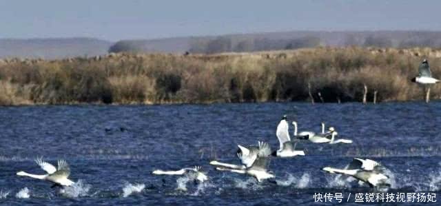 我国建亚洲最大“沙漠水库”，不到一年尝到“恶果”，值得吗