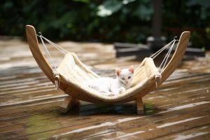 清洗:猫爬架多少钱一个?猫爬架怎么清洗?