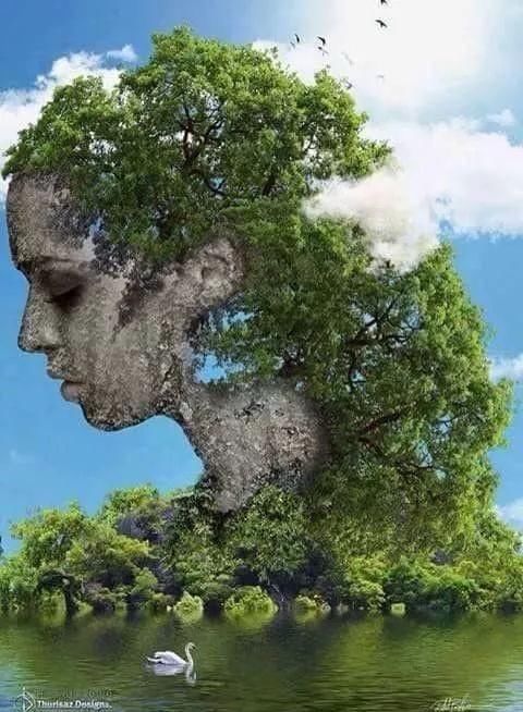 天啊，壮观，实在太壮观了！忍不住转发给大家看看！