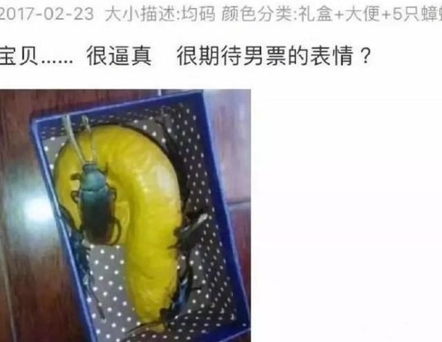 买家秀VS卖家秀，衣服穿在狗身上就问你服不服，卖家：跪求放过！