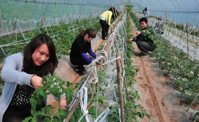 在农村创业不一定非要围绕土地做文章！在农村做什么生意赚钱呢？