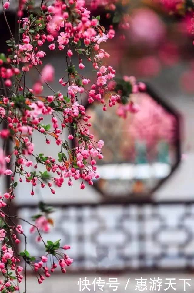 人间三月，桃红柳绿，杏花春雨，最美江南！