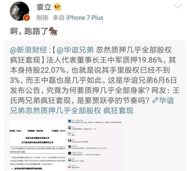 华谊两兄弟质押全部股权,袁立四字评价耐人寻