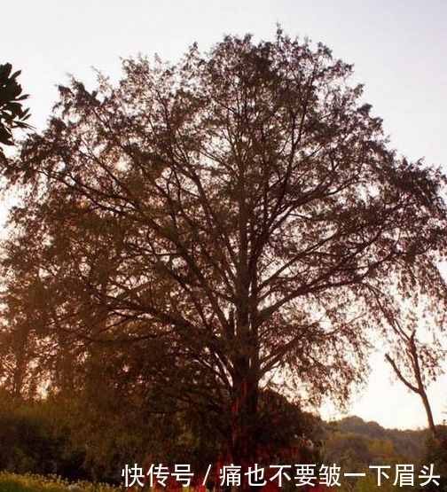 周末将至，走进青山碧水，去这片免费绿色世界吧！