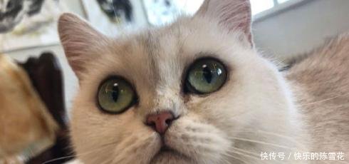 又有新进展铲屎官怒斥范冰冰刘震云做慈善也扎堆！