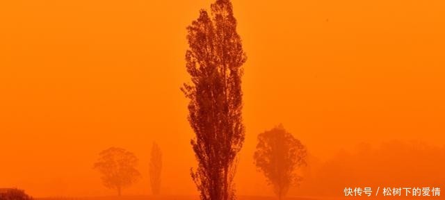 澳洲大火10月
