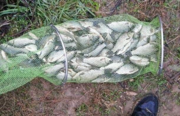  「钓足」春天就数大鲫鱼最难钓？抓住这3个要诀，每都次钓足瘾