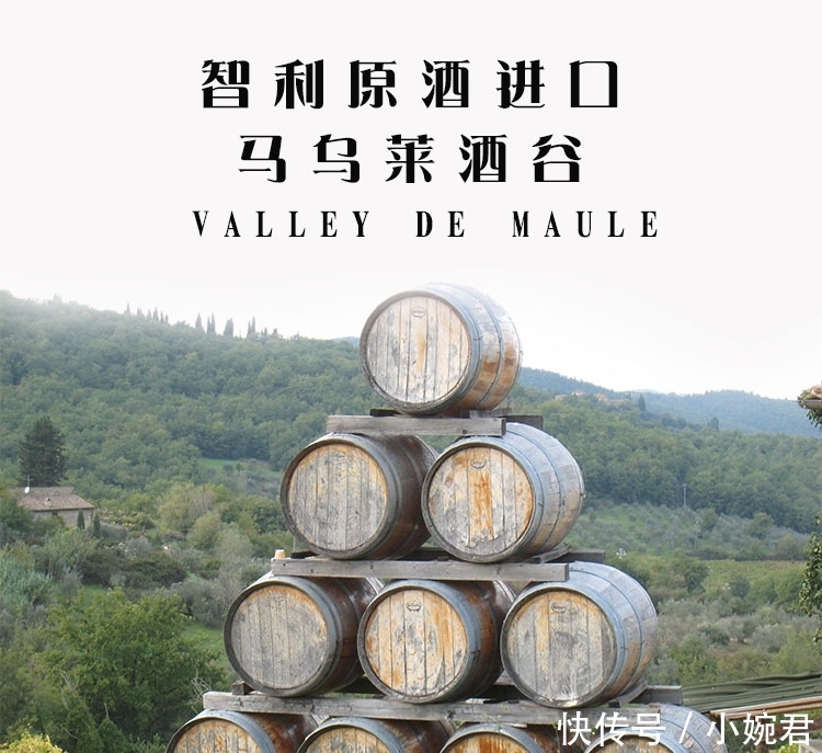 葡萄酒放了十年之久的还能喝吗?大师为你揭开