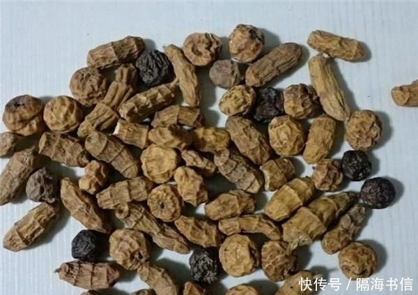  地下：它被称为“地下核桃”，又能产油又能喂猪，为啥中国农民