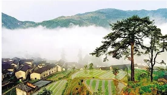 乡村振兴如何实施？解读乡村振兴战略首个五年规划亮点！