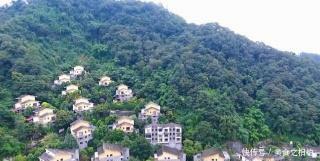 四川大山里发现一片别墅,周围都是原始树林,为何要在这里建房子