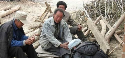  「道理」“姨夫不是亲，牛屎不是粪”，这个农村俗语，折射出了什么道理？