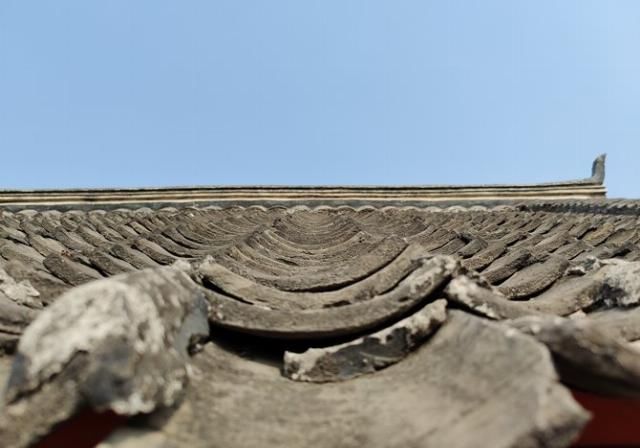 「再次」“旗舰杀手”的再次蜕变 一加8 Pro拍照专项评测
