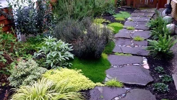 石材装点：你的庭院美得令人窒息