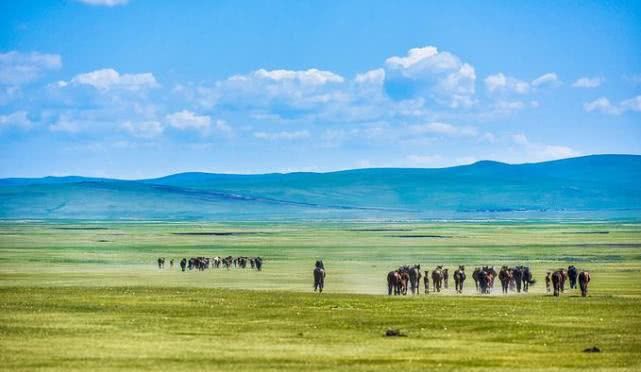 国内最适合自驾游的地方，不去太可惜，风景绝美