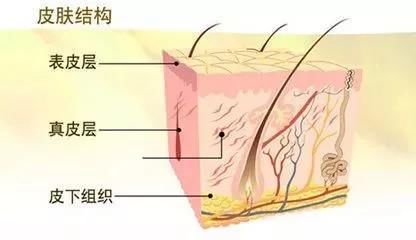  「护肤建议」护肤丨你每天涂抹的护肤品50%喂了手，40%还不被吸收，这是为什么？