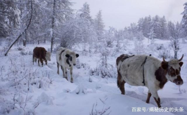 此地比我国还要大300多万平方公里，但人口为何才四千万
