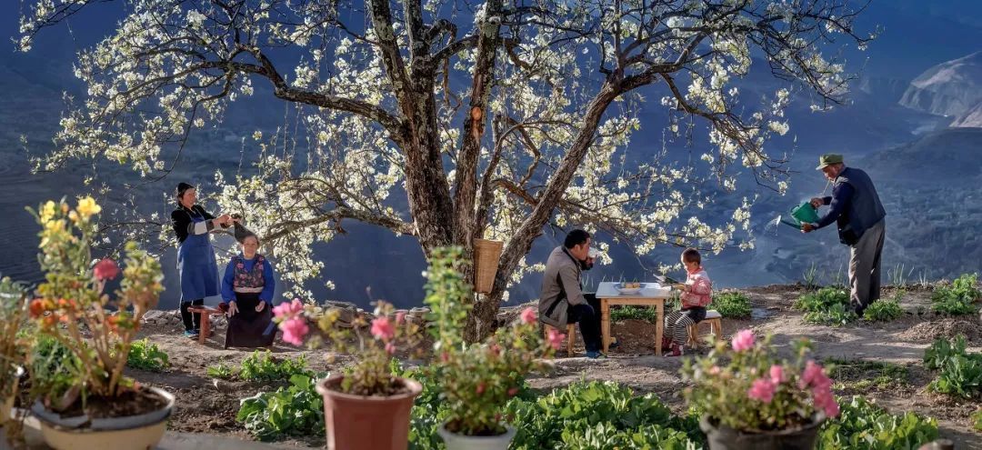 再过20天，中国将花开成海，错过再等一年