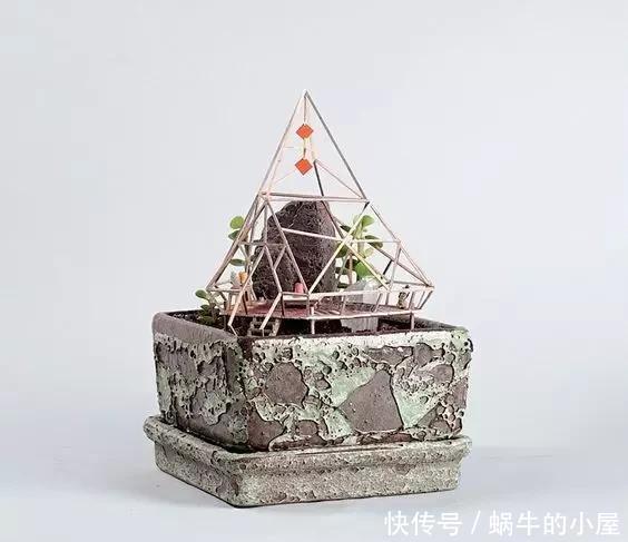 盆栽|她在盆栽上放了这个,家里瞬间活了起来!