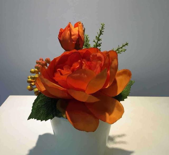 “无声的诗，立体的画”，家养一盆牡丹盆景，花开富贵更显高雅！