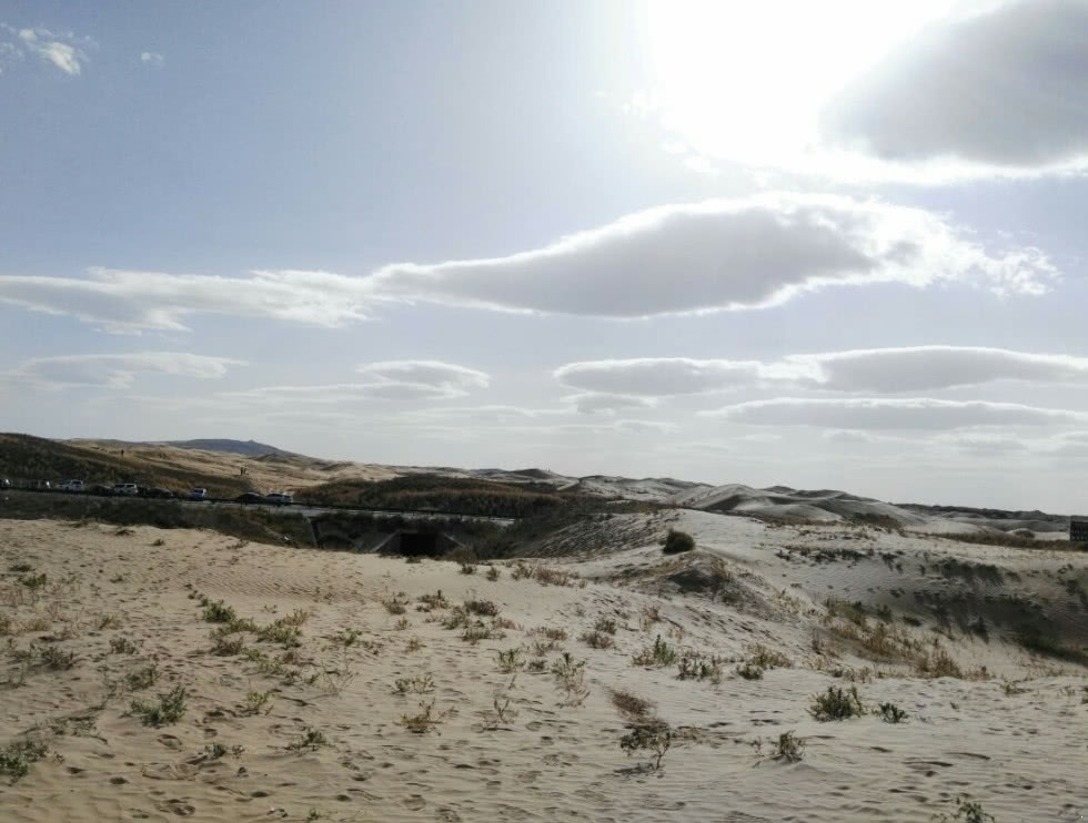 全球第一个被中国人征服的沙漠，如今农田遍布，有些农民月入过万