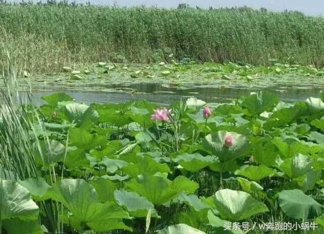 中国最 '宰人＂景区 土豪也不敢轻易去