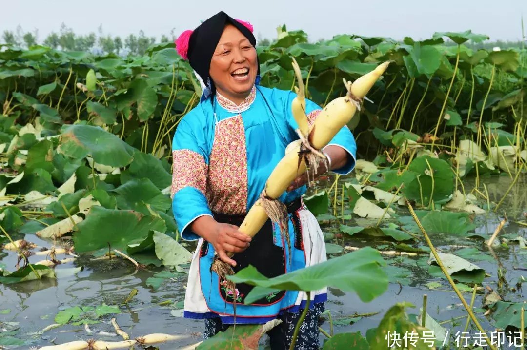 4000米高空跳伞是什么感觉？来甪直体验当“鸟人”的滋味