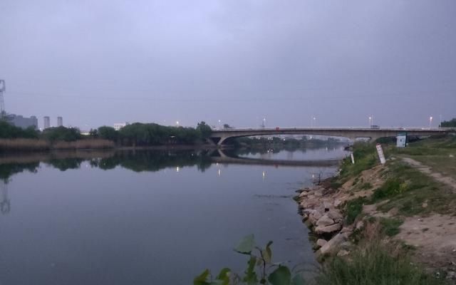  [解码]咋都不聊钓鲫鱼了？解码夏季大鲫鱼的生理特征，懂了就不难钓了