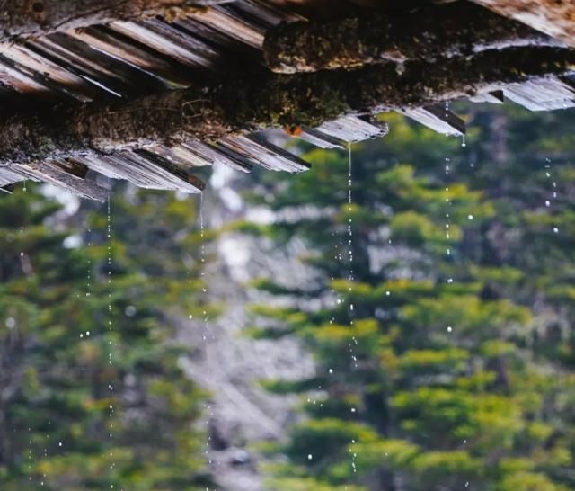 天堂向左，雨崩向右。不去天堂，就去雨崩