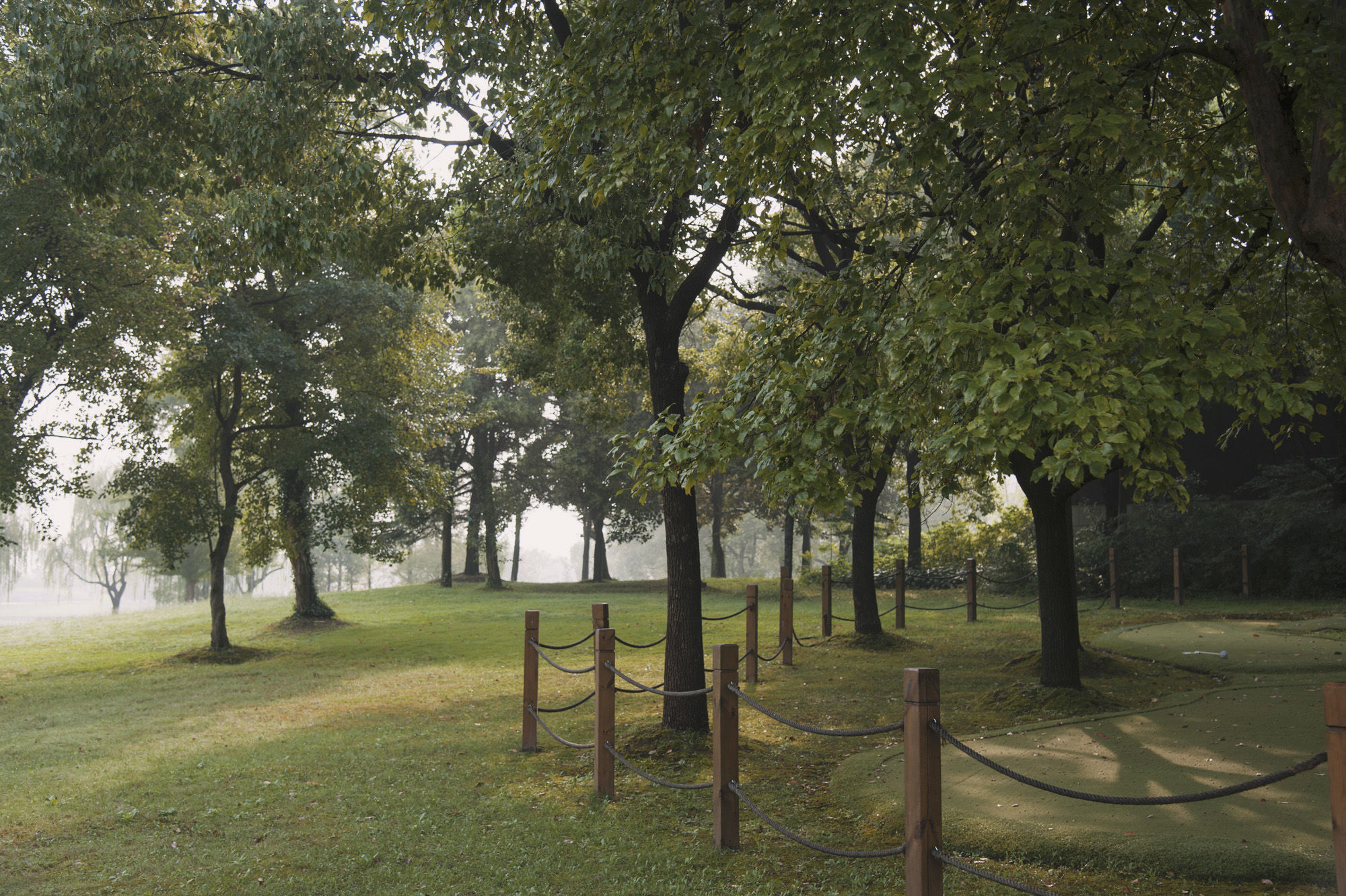 现实版泰囧上海自驾游，历经延误、爆胎、鳄鱼还有暴雨，湿身更撩